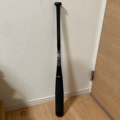 ミズノ　ビヨンドマックス　NE 83cm 1cjbr163の画像