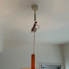 ニトリ　ウッド　ペンダントライトの画像