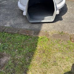 犬小山　　の画像