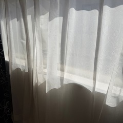 カーテン　レースの画像