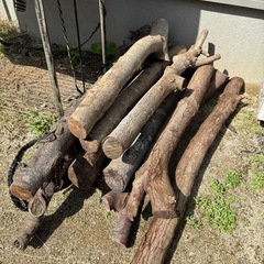 薪　乾燥済の画像