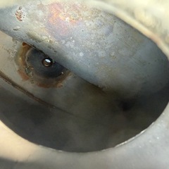 ゴリラタンクの画像