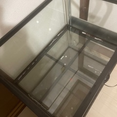 爬虫類ケージ　グラステラリウムの画像