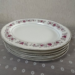 楕円形の洋皿(5枚)の画像