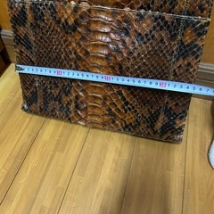 年代物，ヘビ皮のバック　の画像