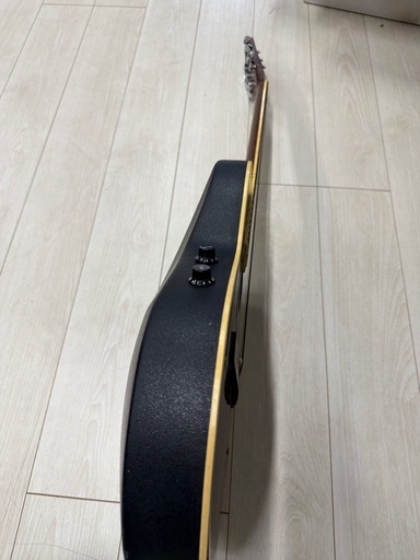 超レアギター　ProMartin エレアコ EA350BLS