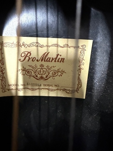 超レアギター　ProMartin エレアコ EA350BLS