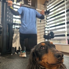 🏋️パーソナルトレーナー、ウェルネスコーチ募集✨の画像