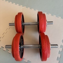 【ダンベルセット（約15kg×2）】の画像