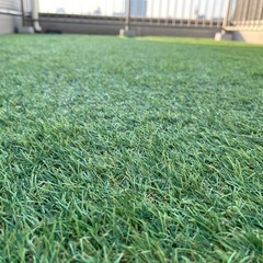 モダンデコ　人工芝　1m×5m　　の画像