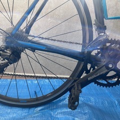 キャノンデール キャドオプティモ クラリスの画像