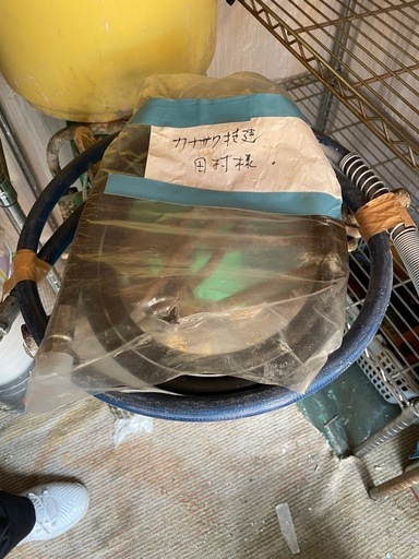 吹き付けホース