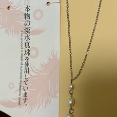 ネックレス 樹脂イヤリングの画像