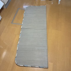 　井草　マットの画像
