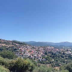 疲れが抜けない人へ｜沖縄×サルデーニャ長寿研究から学ぶ生活習慣セッション（60分）の画像