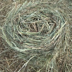 牧草ロール　ポニーの餌　馬の牧草　うさぎの敷きわら　大型犬の敷きわらの画像