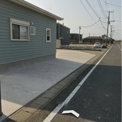 ミモザ　ご自由にお持ちくださいの画像