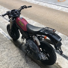 ストリートマジック50の画像