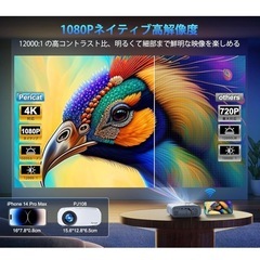 ホーム　プロジェクターの画像