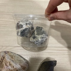 【無料】水槽レイアウト用石　4個の画像