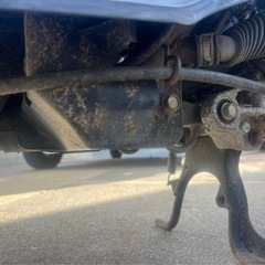 ホンダ トゥデイ AF61 原付 HONDA TODAYの画像