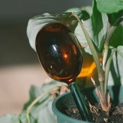 ウォーターディスペンサー　２セットの画像