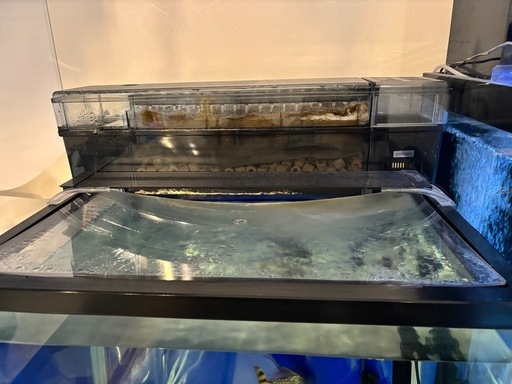 600ワイドガラス水槽セット
