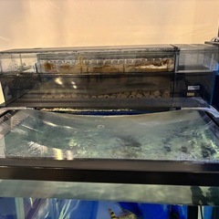 600ワイドガラス水槽セットの画像