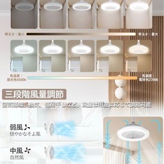 シーリングファンライト 無段階調光 LED E26 引掛け リモコン付 タイマー機の画像