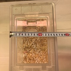 1回のみ使用!ペット容器の画像