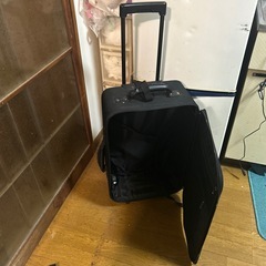 キャリーバッグの画像