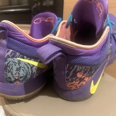 NIKE PG2 27.5cm バッシュの画像