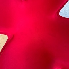 リファ　MTG  スタイルスマート　骨盤矯正
の画像