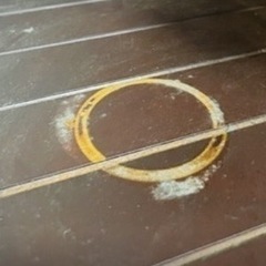 B-company シェルフの画像