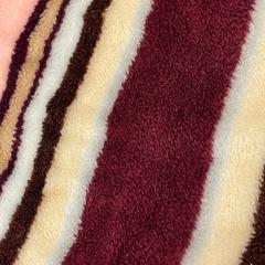 敷き毛布の画像