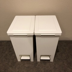 ゴミ箱 20リットル 2個セット キッチン 【限定カラー】 分別 ペダル スリム アスベル ダストボックス 20L 20l 大容量 蓋付き 資源ゴミ ごみ箱 の画像