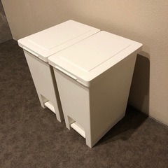 ゴミ箱 20リットル 2個セット キッチン 【限定カラー】 分別 ペダル スリム アスベル ダストボックス 20L 20l 大容量 蓋付き 資源ゴミ ごみ箱 の画像