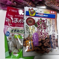 犬のごはんの画像