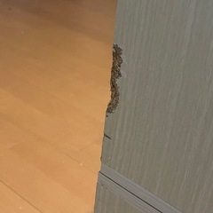 収納 棚 3点の画像