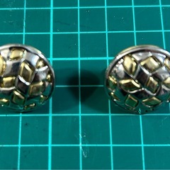 高級感ある大きめイヤリングの画像