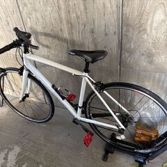 おまけ多数 TREK DOMANE AL3 2019 with Campagnolo CALIMAホイールの画像