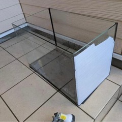 60cmオールガラス水槽の画像