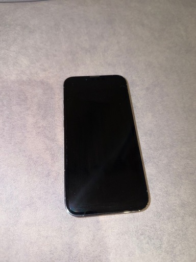iphone13pro /256GB/シエラブルー