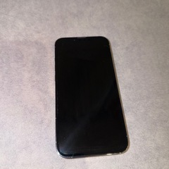 iphone13pro /256GB/シエラブルー    
