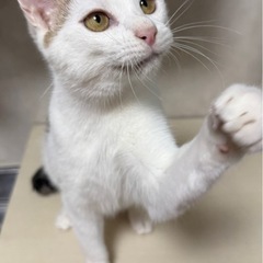 抱っこ大好きぶっちくん✨