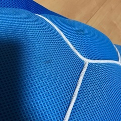 水に浮く亀の画像