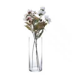 ニトリ フラワーベース シリンダー(30cm)の画像