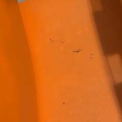 ダイニングセット
の画像