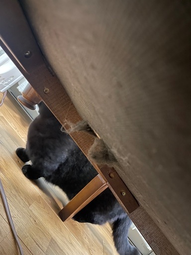 カリモクコロニアル