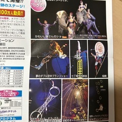 世界最大級　木下サーカス　平日土曜招待ペアチケット定価4500×2=9000円　静岡県磐田公演　早い者勝ちの画像